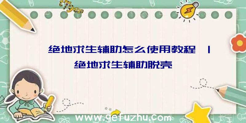 「绝地求生辅助怎么使用教程」|绝地求生辅助脱壳